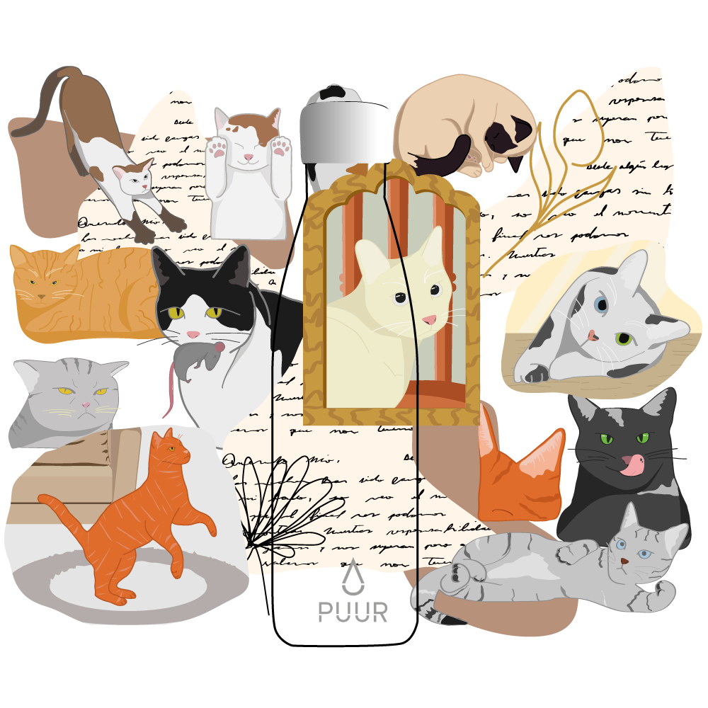 SOFIA IGNACIA BARRIOS RAMÍREZ