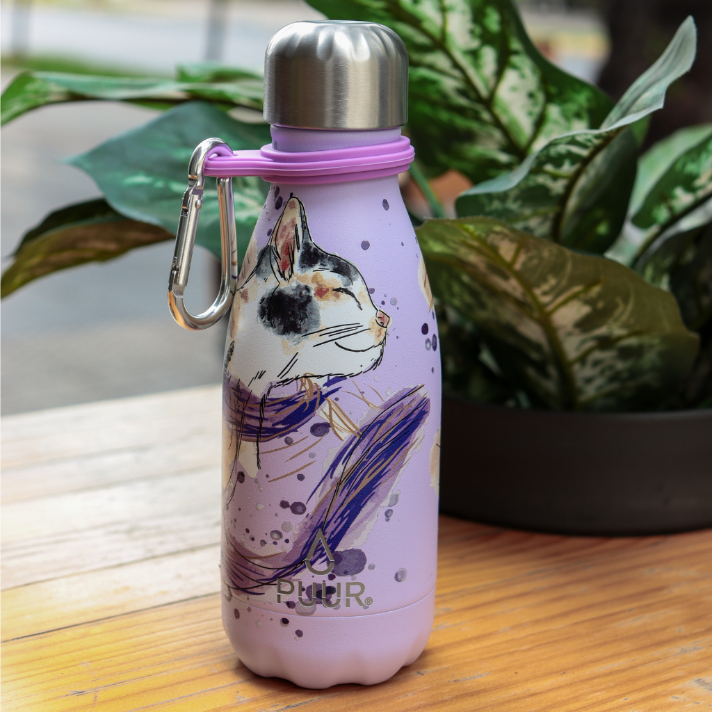 Botella Clásica 260 ml + Accesorios