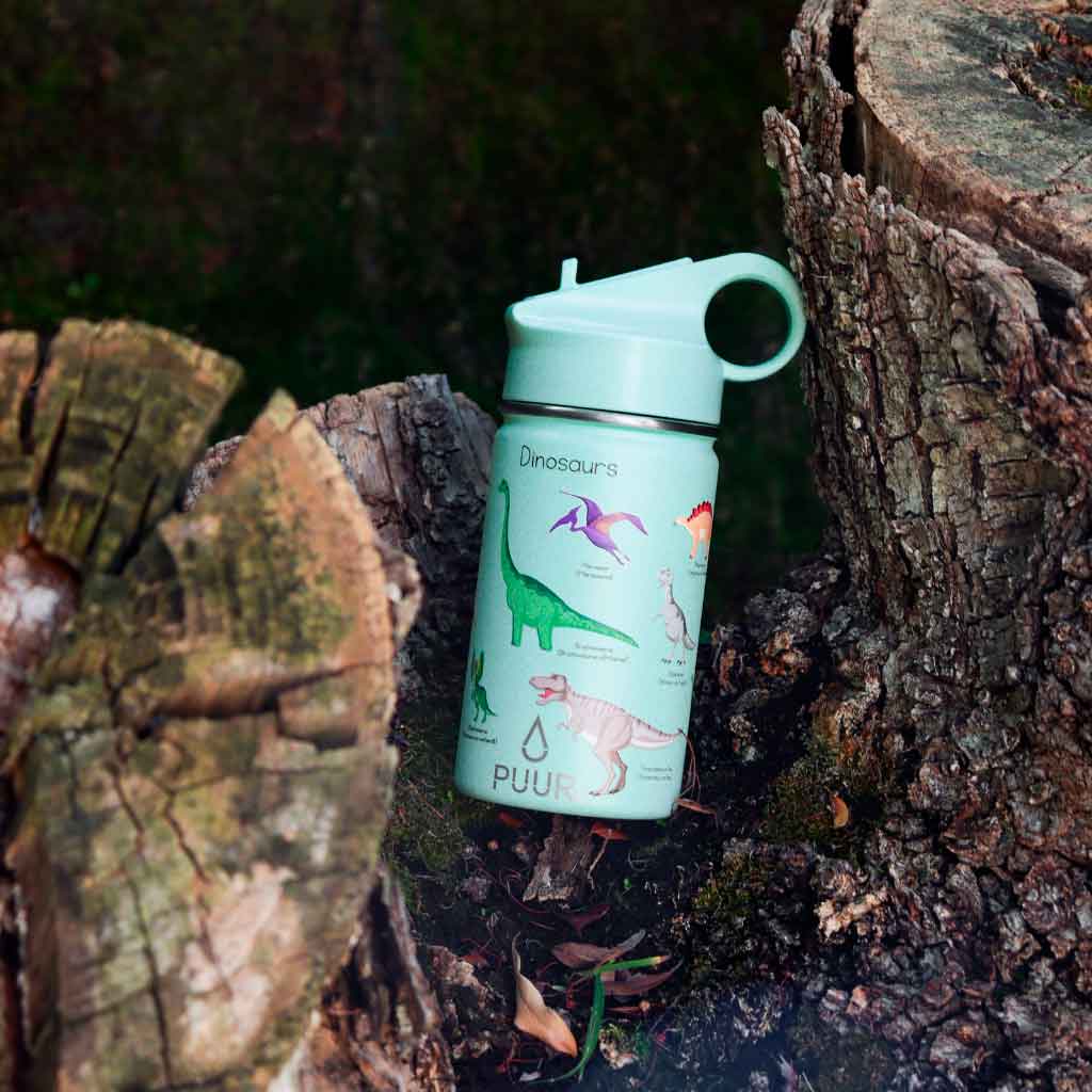 Botella Térmica Puur Bottle Dino 350 ml