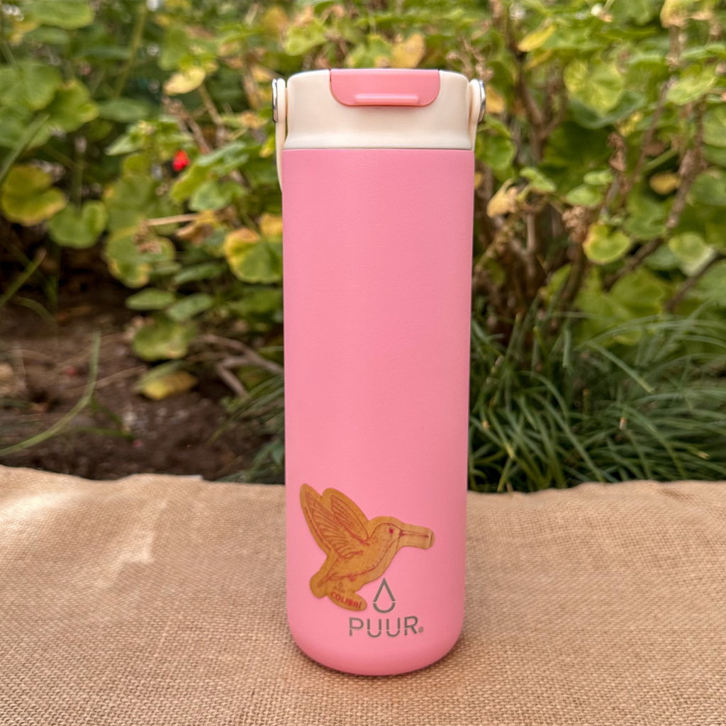 Sticker Puur Colibri