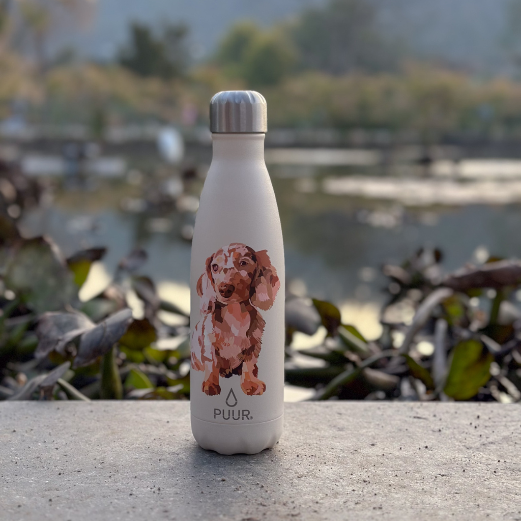 Puur botella térmica 500 ml de perro salchicha