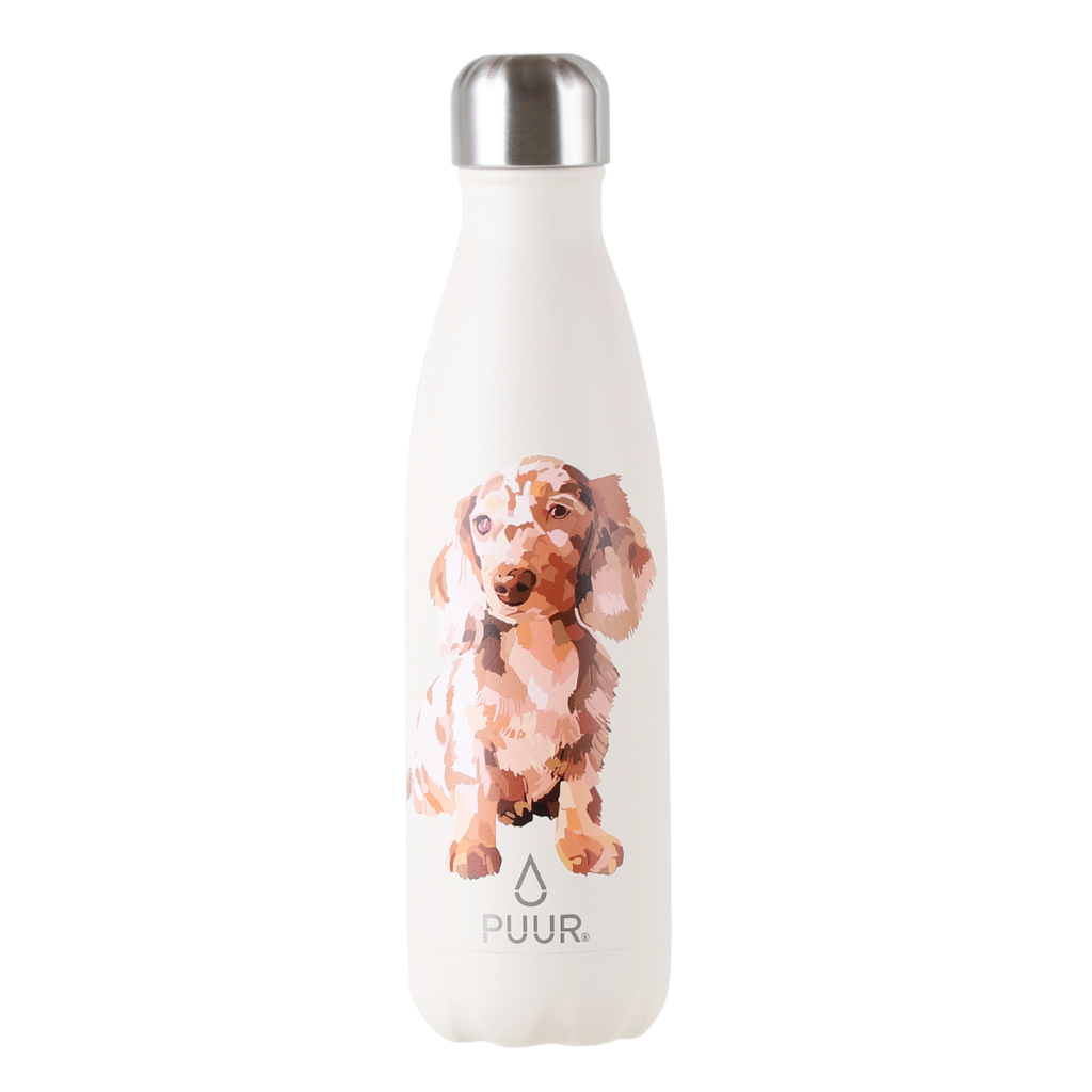 Botella Teckel 500 ml